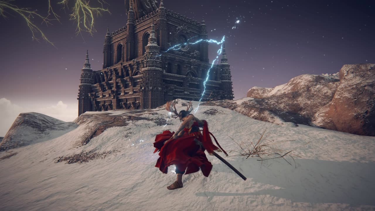 Devil May Cry but its in Elden Ring