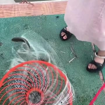 Childhood fishing tales!.hd