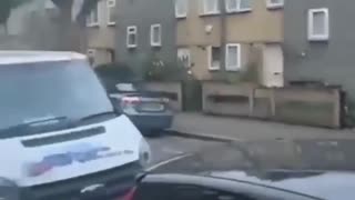 The Birds Know
