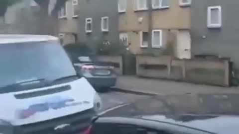 The Birds Know