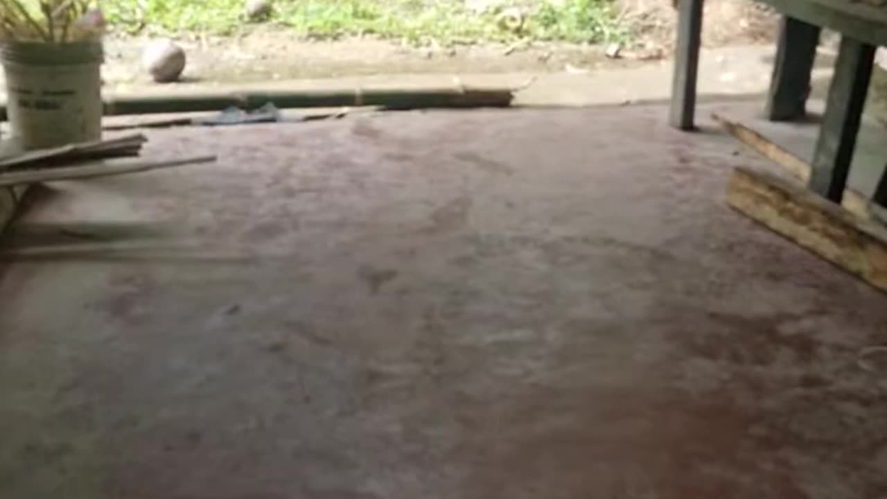 Expat in the Philippines Live | Bamboo Craft at the Farm And Getting Some Veggie Seeds Planted Day 2