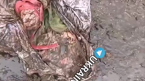 Ukrainian war 10/23/25