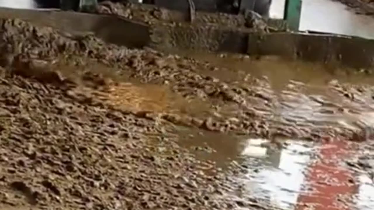 Clean, organized, respectful – Here's how we clean the cow area every day 🐄🧹