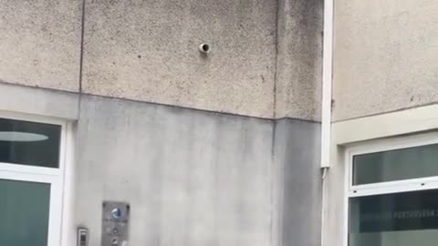 Parkour guy gets abused at, hahaha