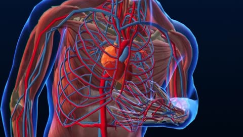 the TRUTH about Statins