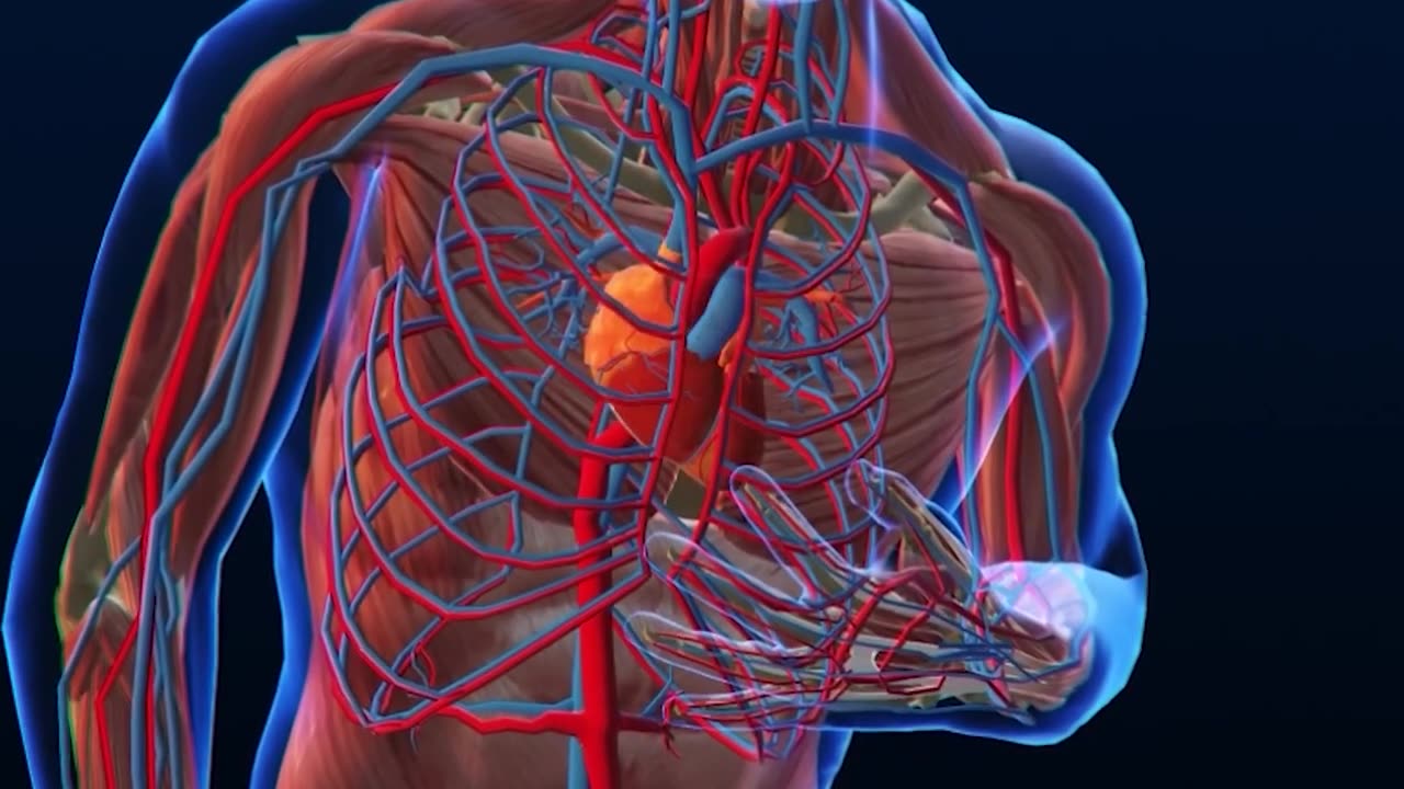the TRUTH about Statins