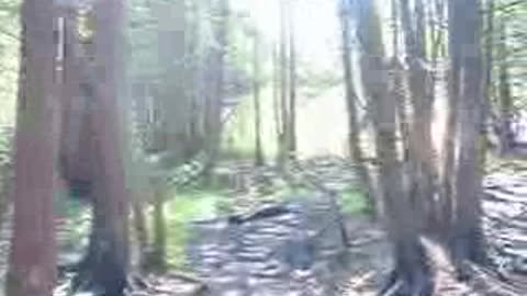 The Maze - Paul Brown, Lime Kiln Trail