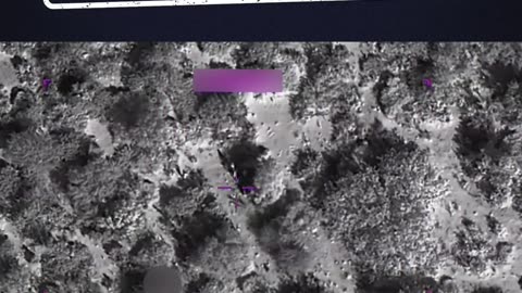 TEN JIHADIS ELIMINATED