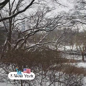 Winter Holiday Christmas Season New York