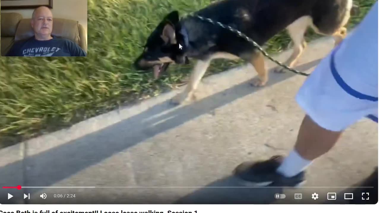 Dog Walk Rehab - Loose Leash Method and the Role of Influence and Control within a Process