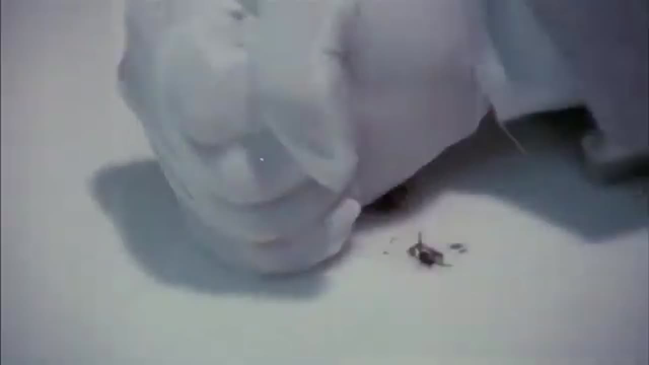 Creepshow - They're Creeping Up On You!