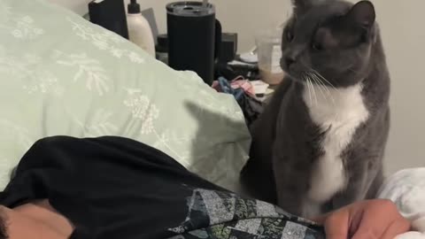 😂🐶 The Funniest Dog Reaction You'll See All Day | FunFM