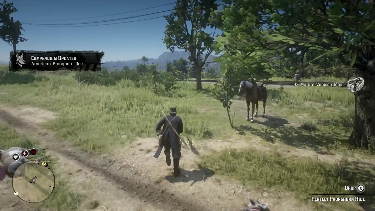 red dead R2: stealing a wagon an more