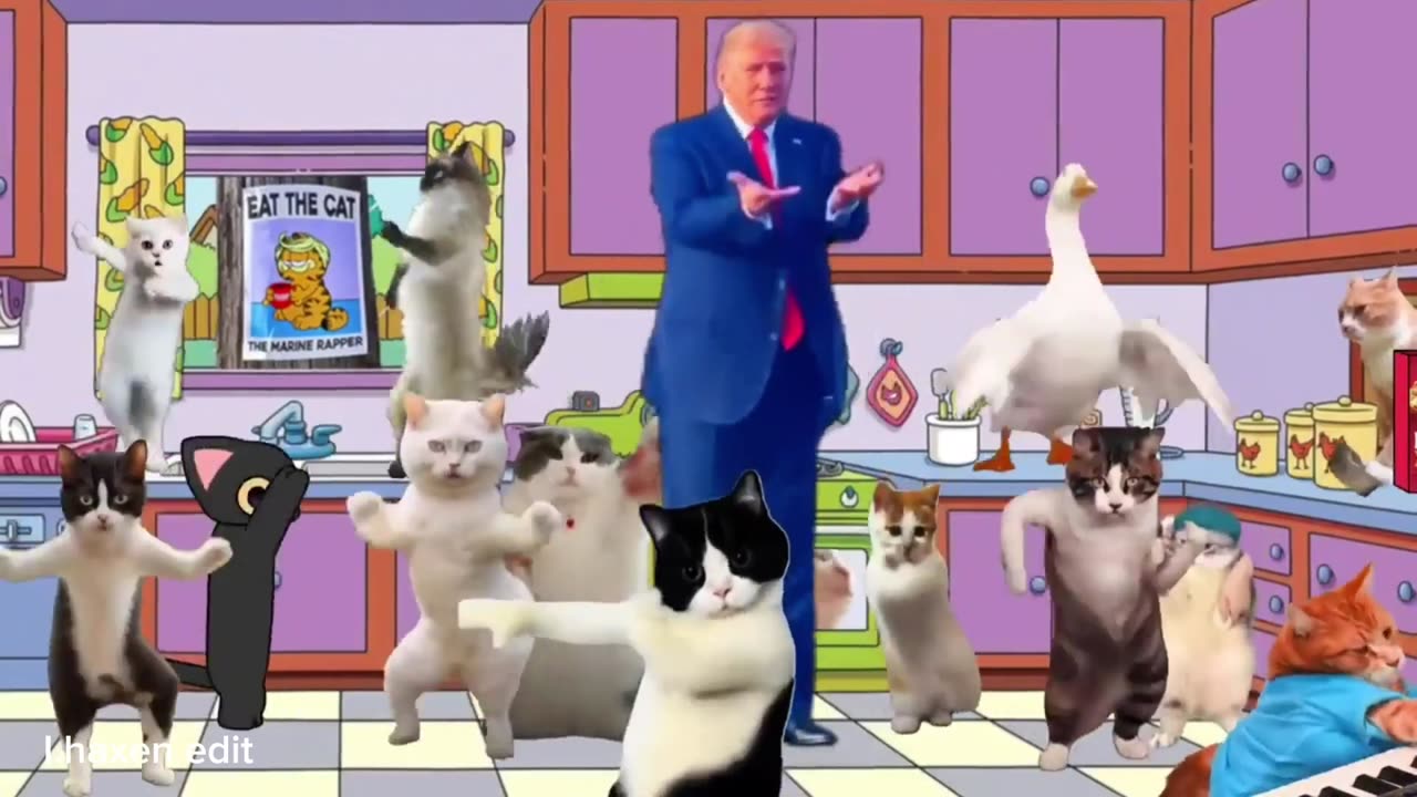Trump and Jones Remix Frogs,Cats.Dads