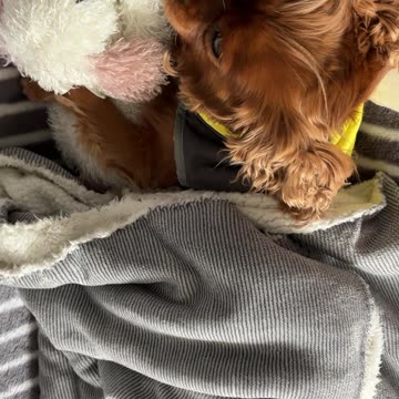 Winter + 🌧️ 🥶