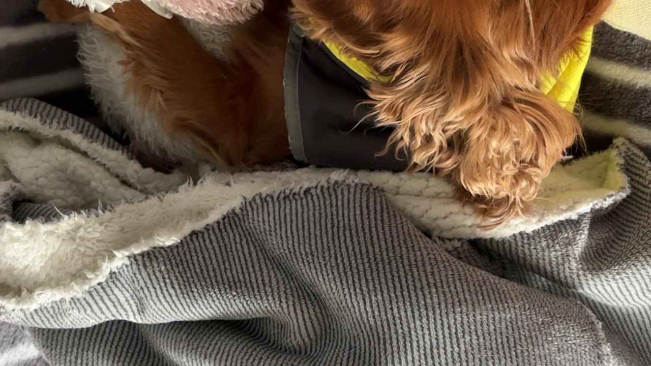 Winter + 🌧️ 🥶