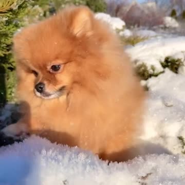 The New Year holidays are over, but there are still two months of winter ahead