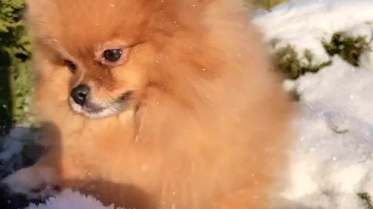 The New Year holidays are over, but there are still two months of winter ahead