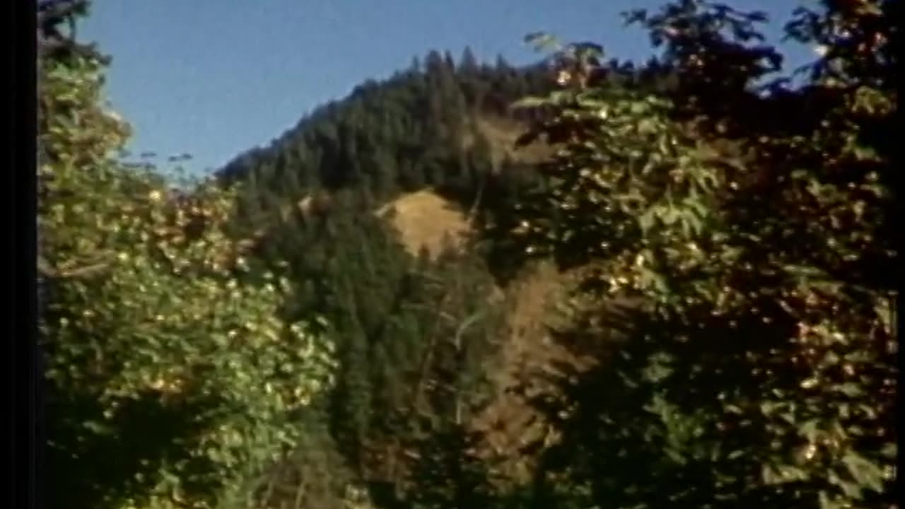 Bigfoot
