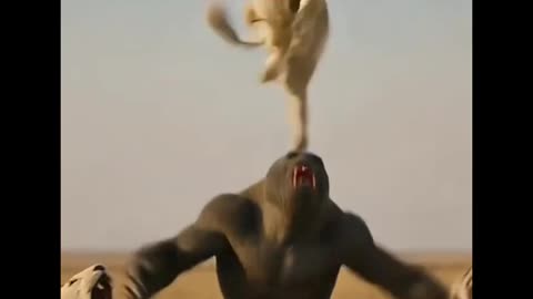 Gorilla and lions