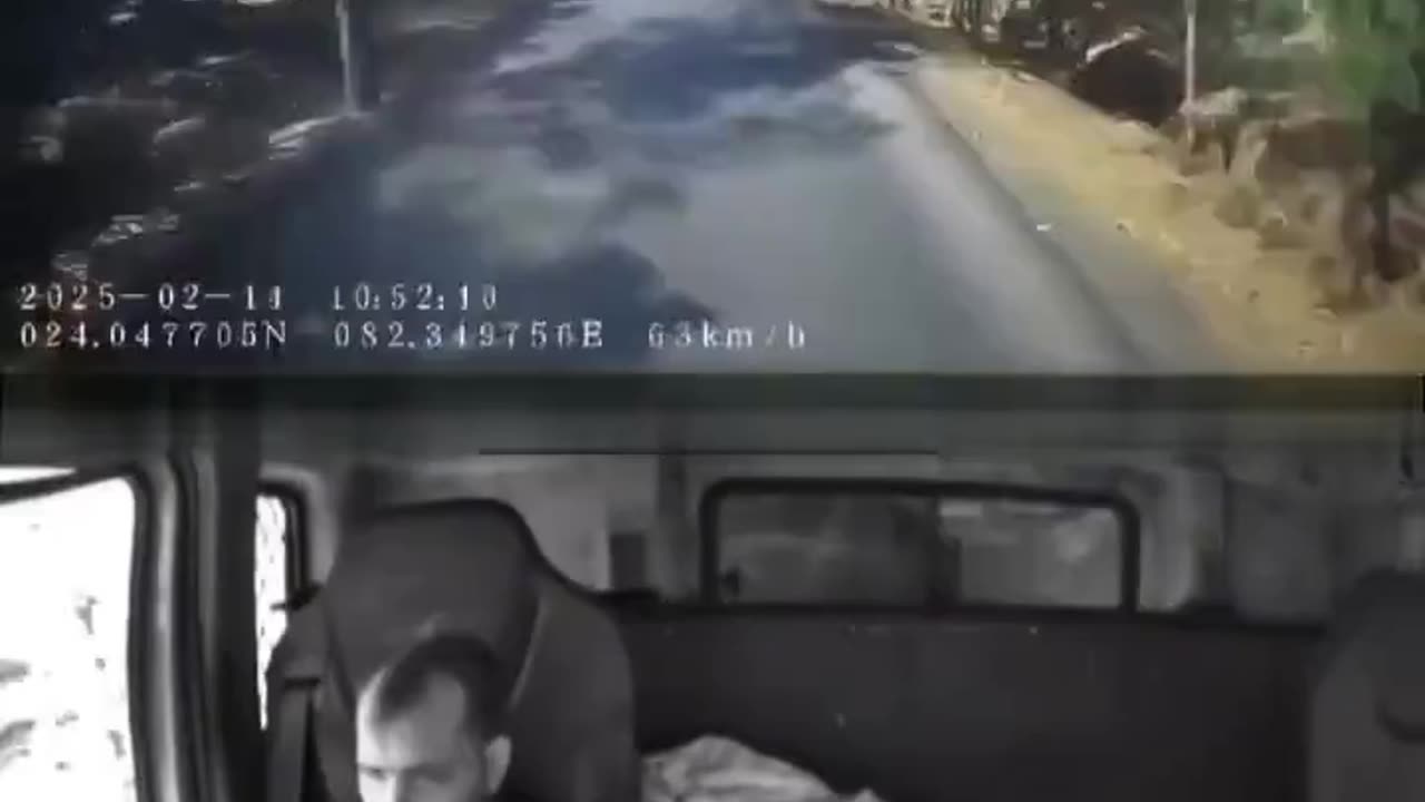 Lousy driving + no seatbelt