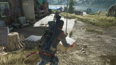 Days Gone - 41