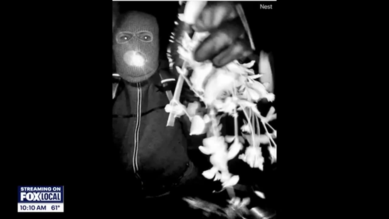 FBI releases new surveillance pics in Nancy Guthrie case