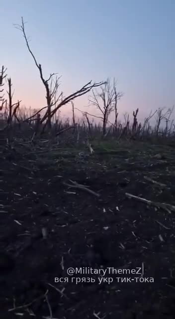 They will never leave Kursk