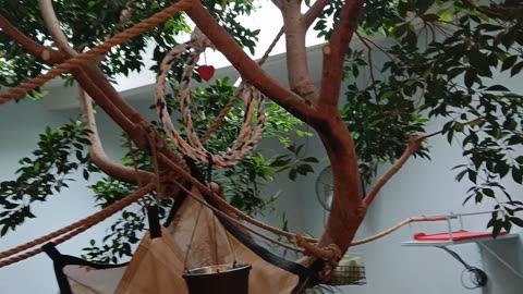 Cheyenne Mountain Zoo Part 29