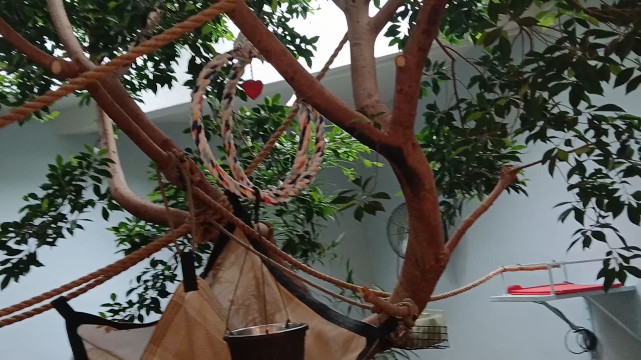 Cheyenne Mountain Zoo Part 29