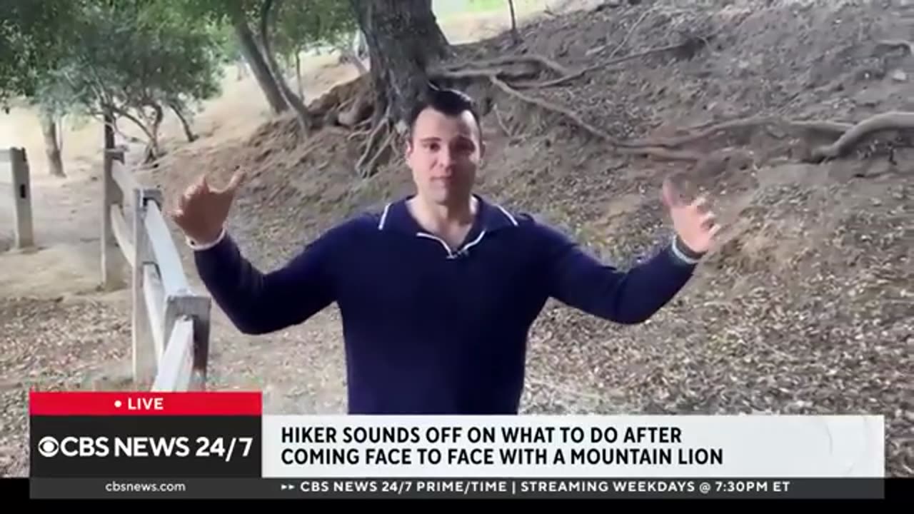 Hiker on how she survived face-to-face encounter with mountain lion