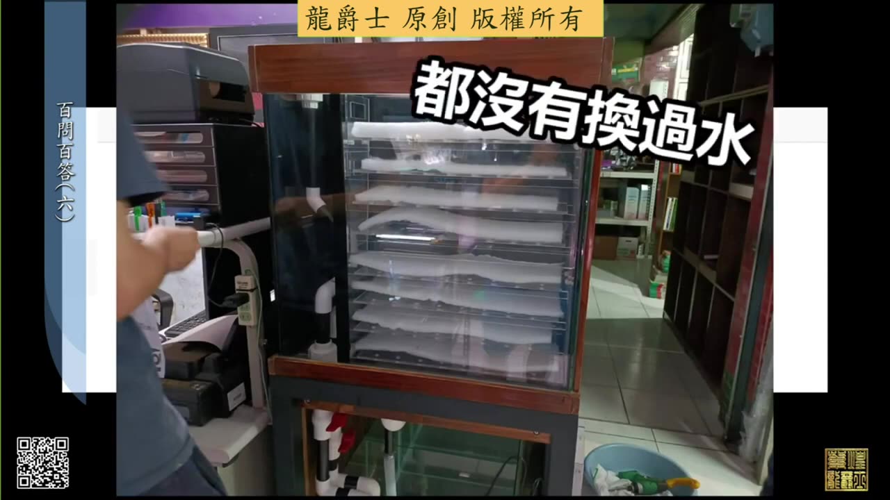 【龍爵士】千問千答 Q46 養龍魚可不可以久一點在換水