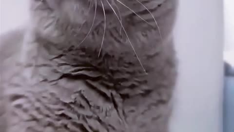 Do you hate me that much #funny - Follow for more