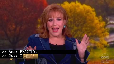 ‘What’s Wrong With You?’ The View Blasts ‘Phillies Karen’ Who Took a Ball from a Kid in Viral Clip