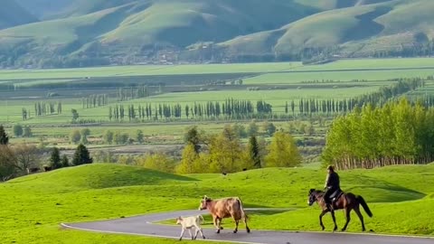 Unveil the Enchanting Beauty of Yili, Xinjiang: A Paradise on Earth