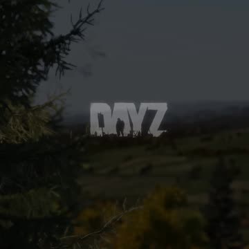 A Beautiful Game #dayz #gaming