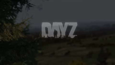 A Beautiful Game #dayz #gaming