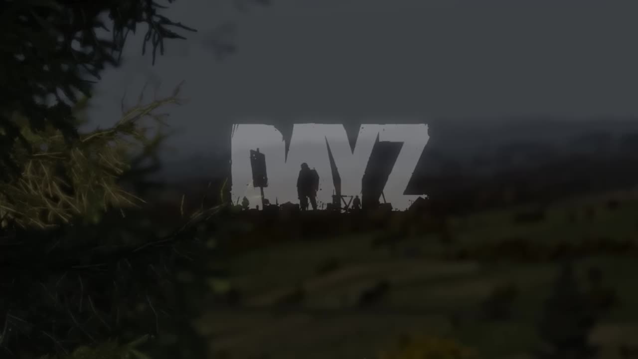 A Beautiful Game #dayz #gaming