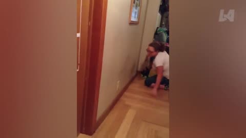 FUNNIEST Fails of the Week 🤣 BEST Fail Videos Compilation 2025