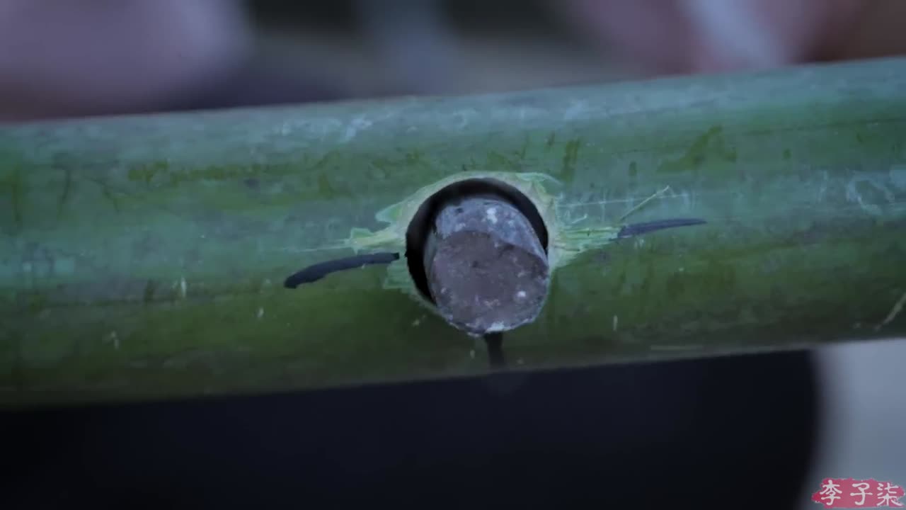 Forest Themed Closet 🌲