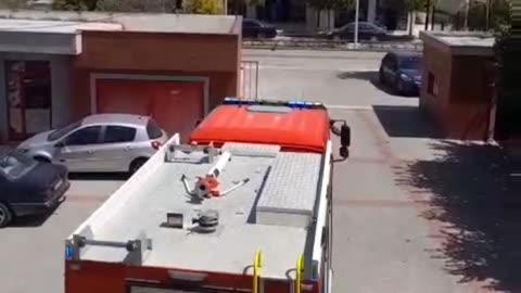 Dimal, zjarri shkrumbon sipërfaqe të mëdha pyjesh në Konisbaltë, autoritetet apel banorëve