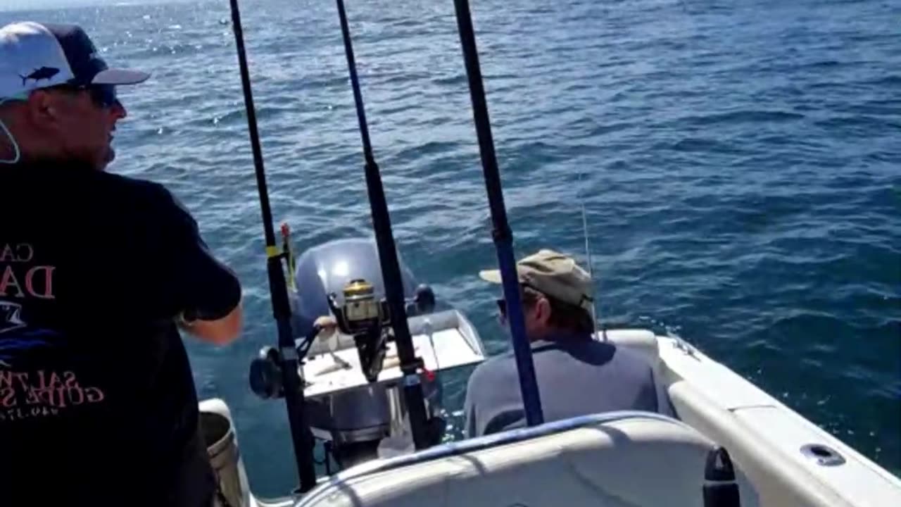 Gear up this Summer with Promar & Ahi USA! #769