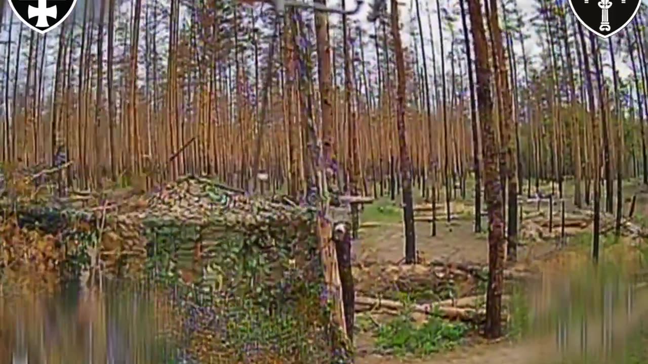 Drone Enters Forest and Flies Through Front Door of Russian Bunker