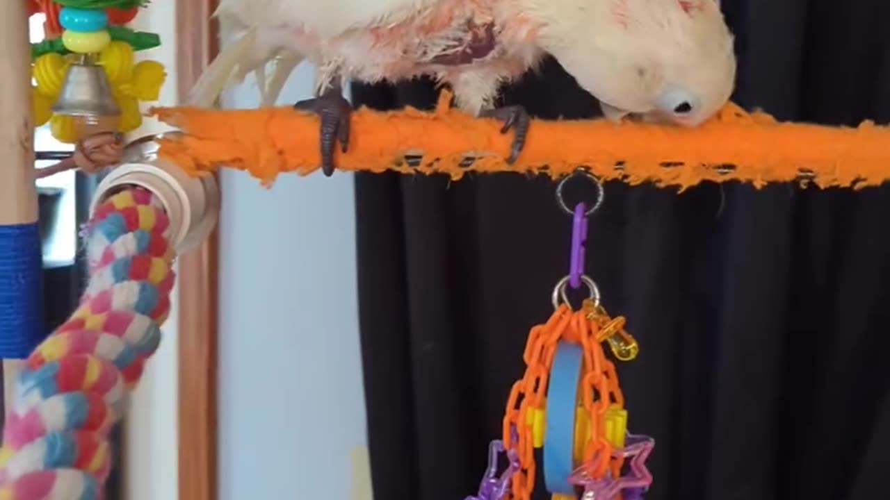 After Bath Playtime