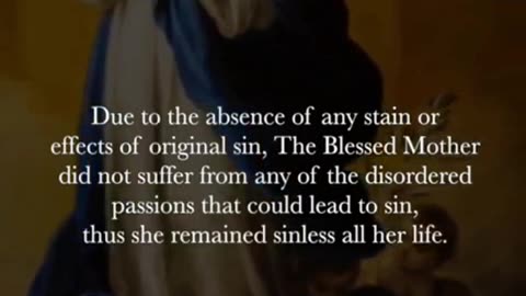 The Immaculate Conception Brief History
