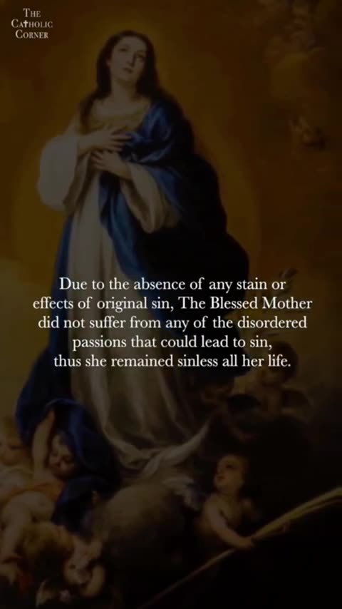 The Immaculate Conception Brief History