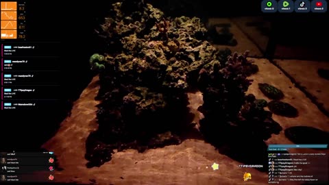 24/7 Real Live Reef Stream
