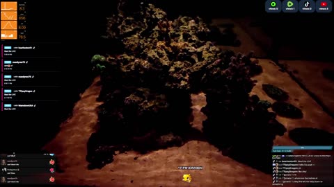 24/7 Real Live Reef Stream