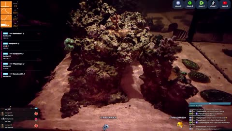 24/7 Real Live Reef Stream