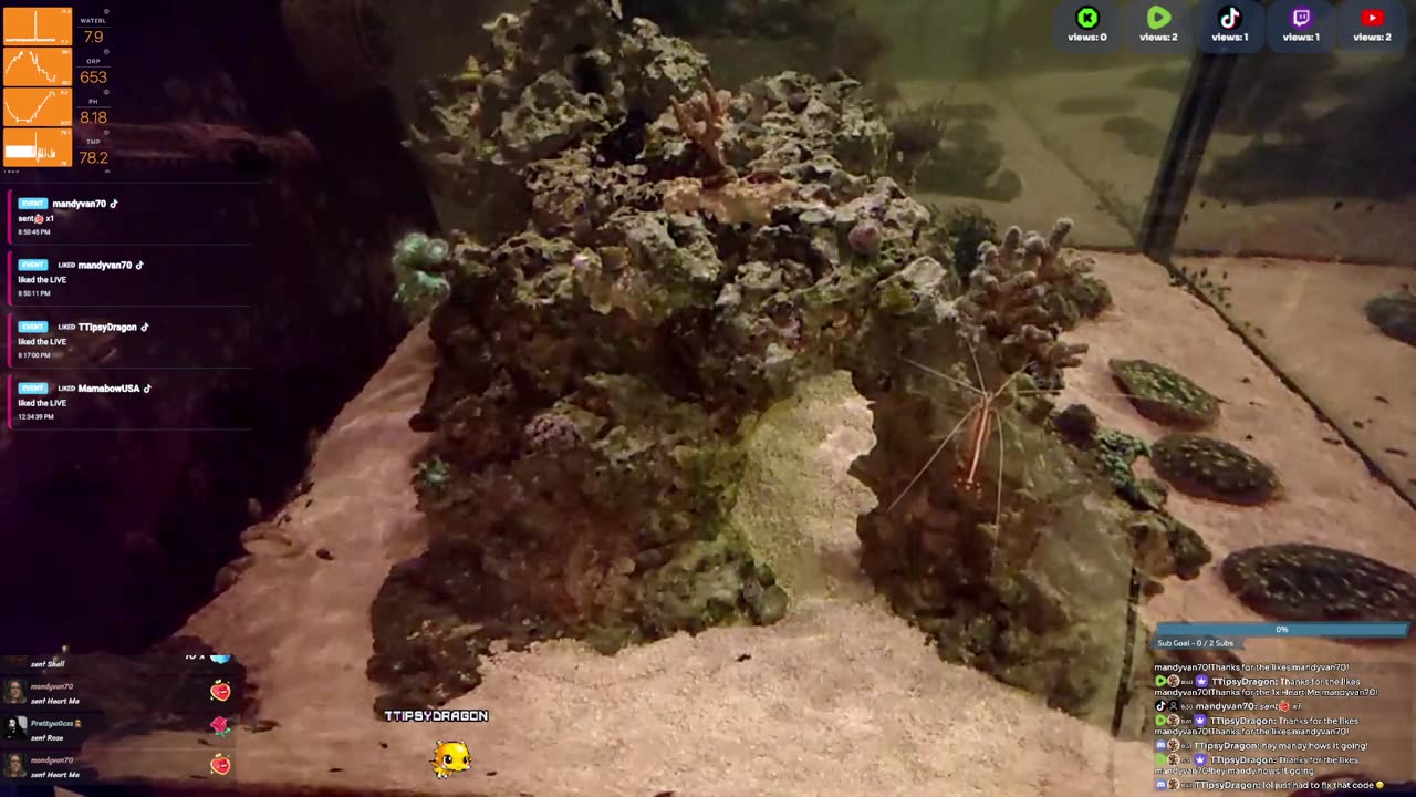 24/7 Real Live Reef Stream